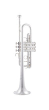 C190SL229 Bach C Trumpet