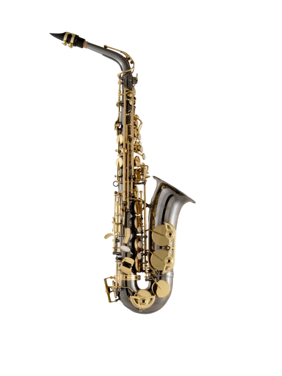 Selmer SAS511B Alto Saxophone Black Nickel Finish