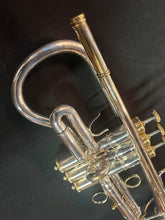 Marcinkiewicz Rembrandt Bb Trumpet