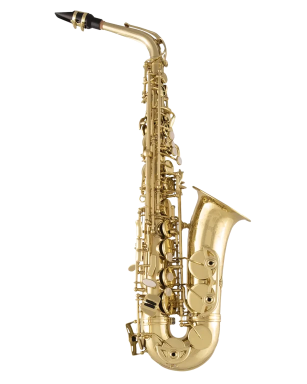 Selmer SAS711 Alto Saxophone