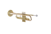 Bach Apollo 17043GYR Professional Bb Trumpet
