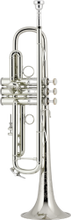 Bach Stradivarius LR190S43B Trumpet