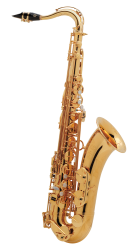 54JGP Selmer Paris Tenor Saxophone Gold Plated