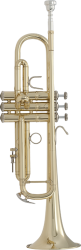 Bach Stradivarius LR18043 Trumpet