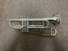 Flip Oaks Wild Thing Bb Trumpet