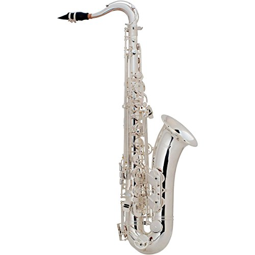 S.sax リガチャー SELMER TS44 Selmer Professional Tenor Saxophones – Park Avenue